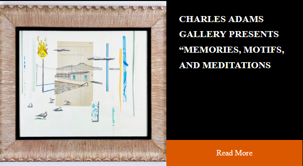 Charles Adams Gallery Screenshot