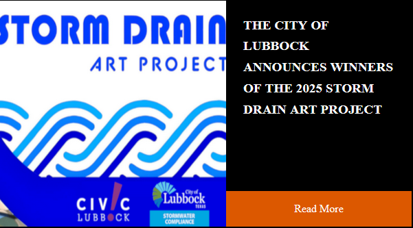 Storm Drains Art Project